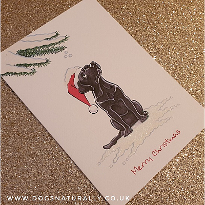 Labrador Black Christmas Card (Flitter Range)